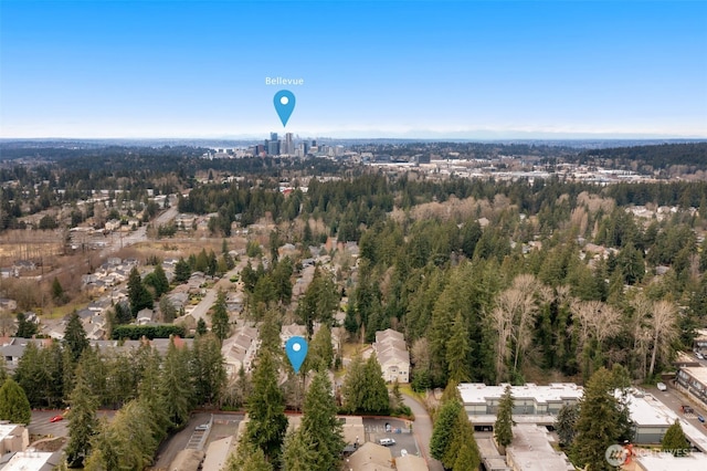 1045 156th Ave NE, Bellevue, WA 98007 - bird's eye view