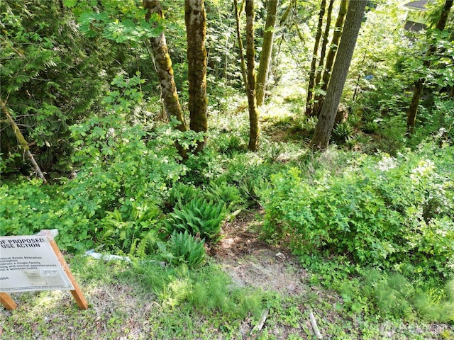 24829 SE Mirrormont Blvd, Issaquah, WA 98027