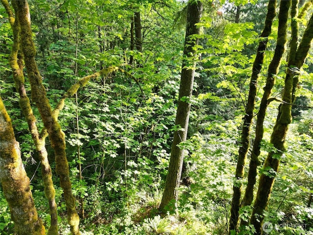 24829 SE Mirrormont Blvd, Issaquah, WA 98027