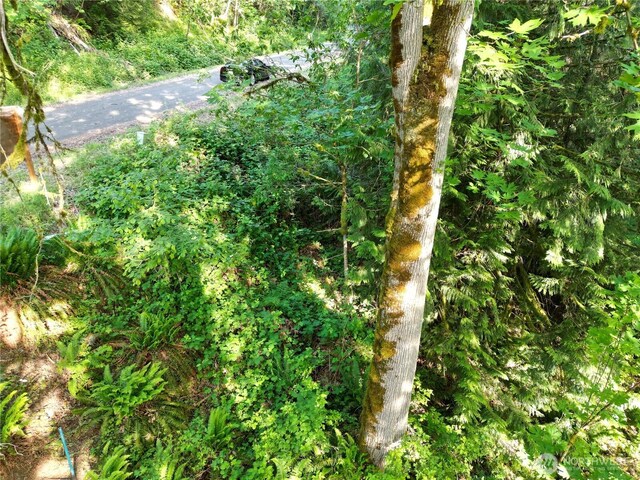 24829 SE Mirrormont Blvd, Issaquah, WA 98027