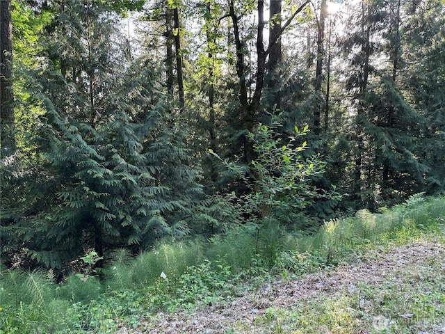 24829 SE Mirrormont Blvd, Issaquah, WA 98027
