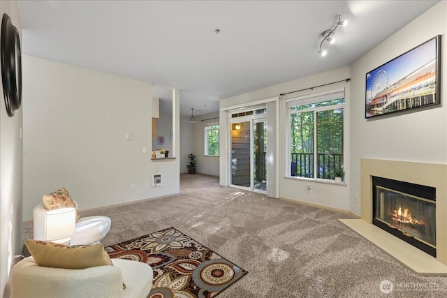 18930 Bothell Everett Hwy Unit V201, Bothell, WA 98012 - living area with carpet floors and a fireplace with flush hearth