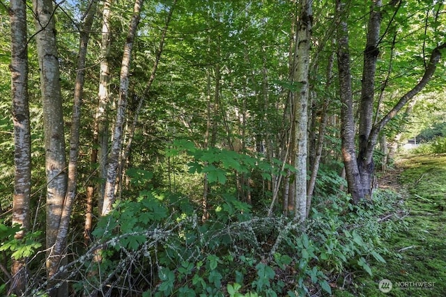 18930 Bothell Everett Hwy Unit V201, Bothell, WA 98012 - view of wooded area