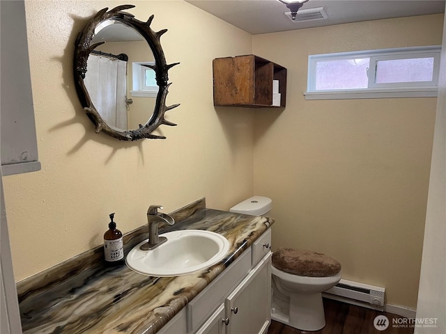 48 Blue Jay Loop, Walla Walla, WA 99362 - bathroom featuring baseboard heating, toilet, plenty of natural light, and vanity