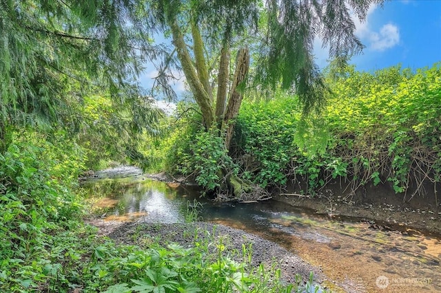 315 Washington St, Pe Ell, WA 98572 - water view