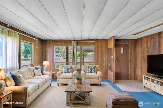 315 Washington St, Pe Ell, WA 98572 - living area with wood walls