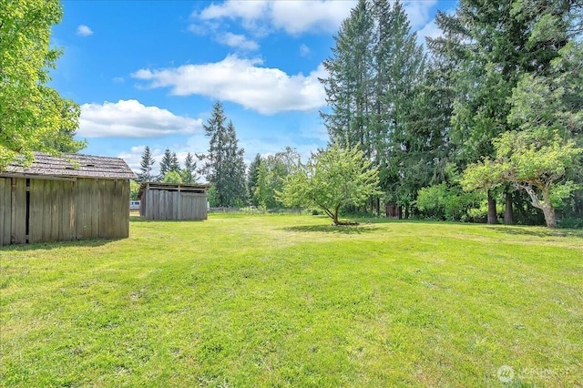 315 Washington St, Pe Ell, WA 98572 - view of green lawn