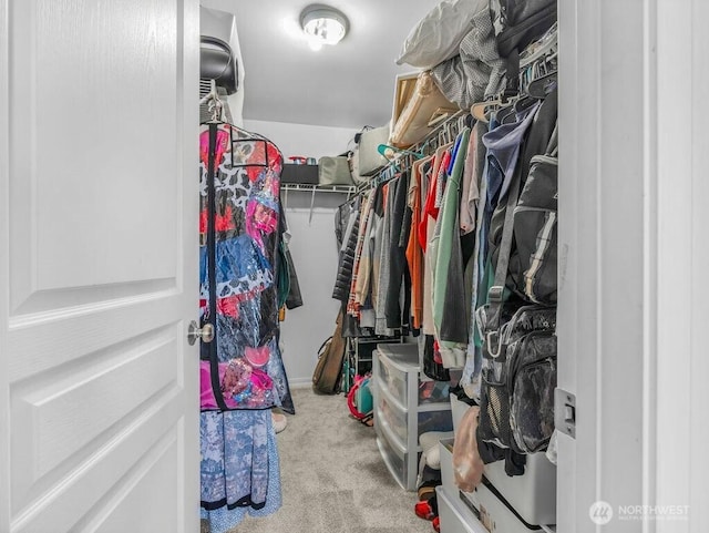 530 N Kentucky Dr, Moses Lake, WA 98837 - spacious closet with carpet