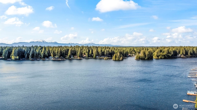 271 E Ballantrae Dr, Shelton, WA 98584 - water view featuring mountains