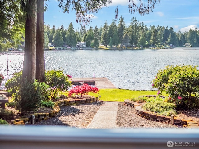 271 E Ballantrae Dr, Shelton, WA 98584 - water view featuring a dock
