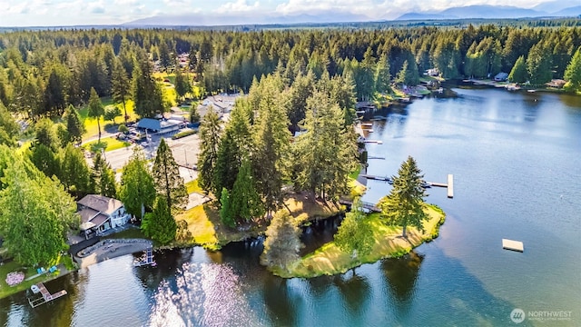 271 E Ballantrae Dr, Shelton, WA 98584 - drone / aerial view of a forest and a nearby body of water