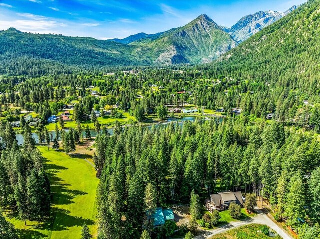84 Norling Ln, Leavenworth, WA 98826 - view of mountain backdrop featuring a heavily wooded area and a large body of water