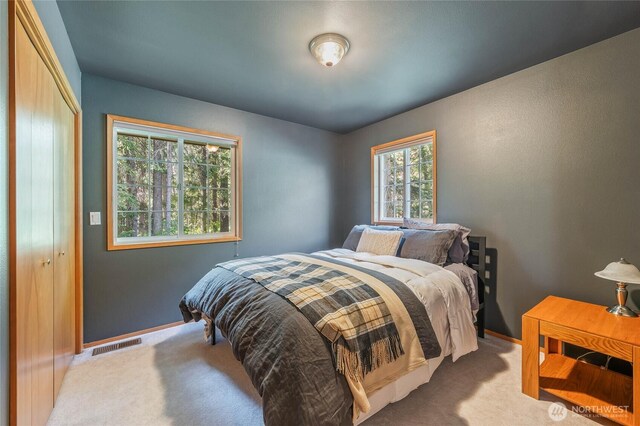 84 Norling Ln, Leavenworth, WA 98826 - bedroom with carpet, baseboards, and a closet