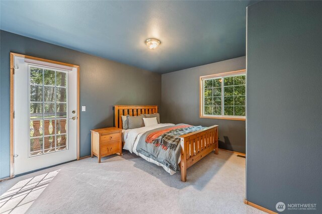 84 Norling Ln, Leavenworth, WA 98826 - carpeted bedroom featuring multiple windows, access to exterior, and baseboards