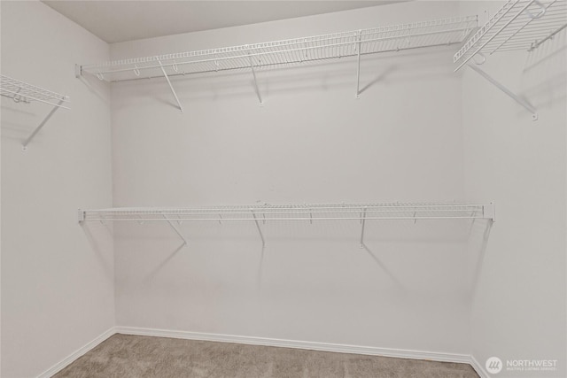 8130 104th Street Ct SW, Lakewood, WA 98498 - spacious closet with carpet flooring