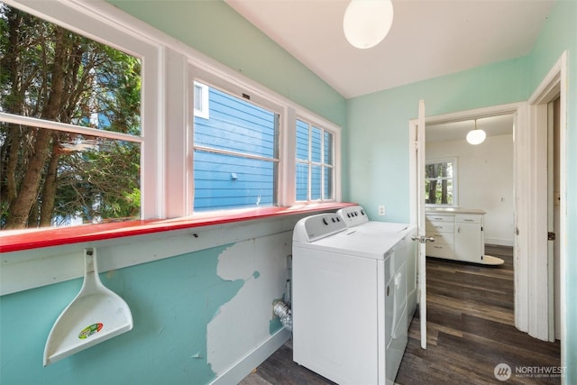 2830 Elm St, Bellingham, WA 98225 - laundry area featuring wood finished floors and washing machine and dryer