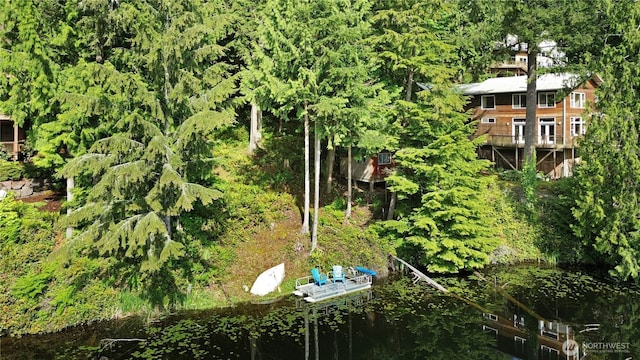 3304 W Ames Lake Dr NE, Redmond, WA 98053 - photo 2