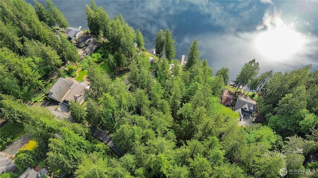 3304 W Ames Lake Dr NE, Redmond, WA 98053 - photo 12
