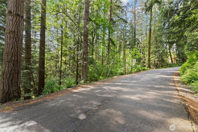 3304 W Ames Lake Dr NE, Redmond, WA 98053 - photo 20