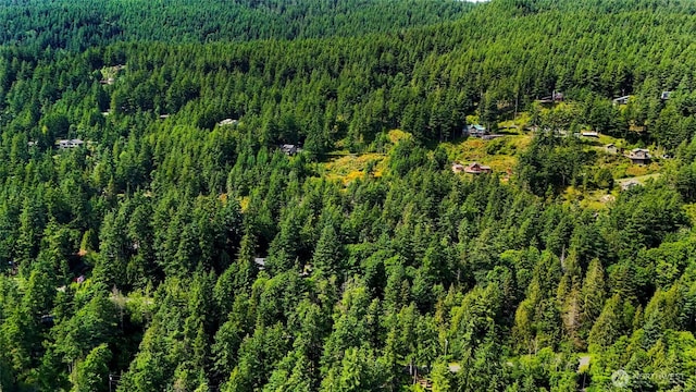 0 Island Dr, Lummi Island, WA 98262