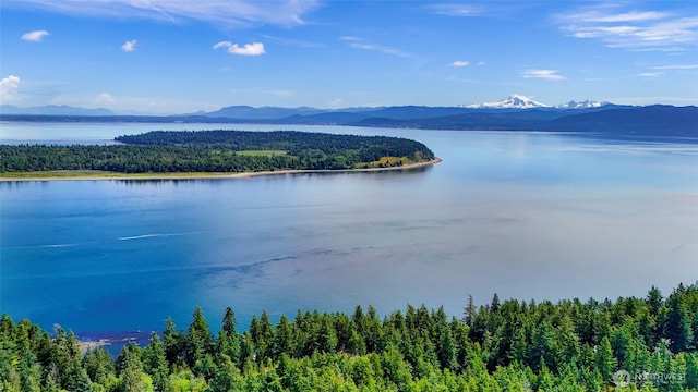0 Island Dr, Lummi Island, WA 98262