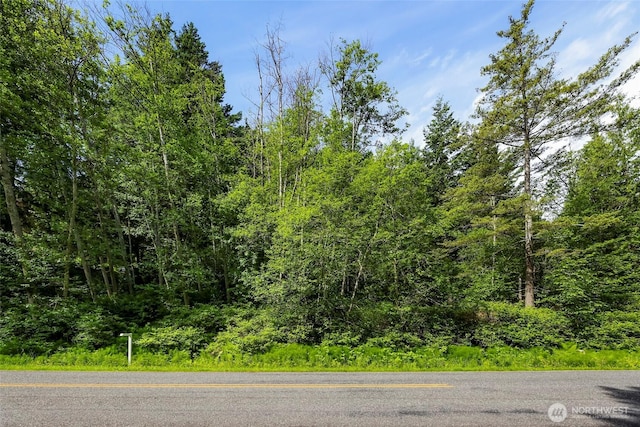 0 Island Dr, Lummi Island, WA 98262
