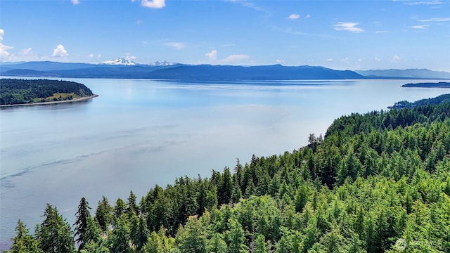 0 Island Dr, Lummi Island, WA 98262