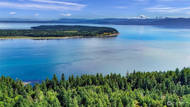 0 Island Dr, Lummi Island, WA 98262