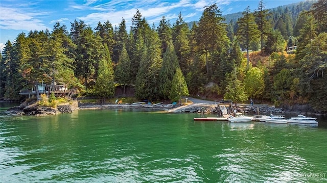 0 Island Dr, Lummi Island, WA 98262