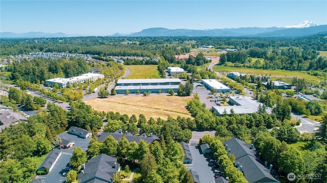 465 Sequoia Dr, Bellingham, WA 98226