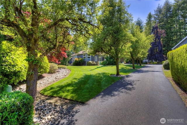 11504 128th Dr NE, Lake Stevens, WA 98258 - view of property's community with a yard