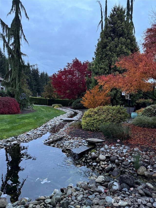 11504 128th Dr NE, Lake Stevens, WA 98258 - view of yard