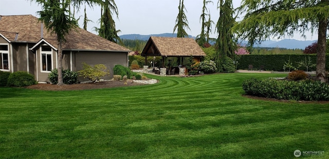 11504 128th Dr NE, Lake Stevens, WA 98258 - view of grassy yard featuring a mountain view