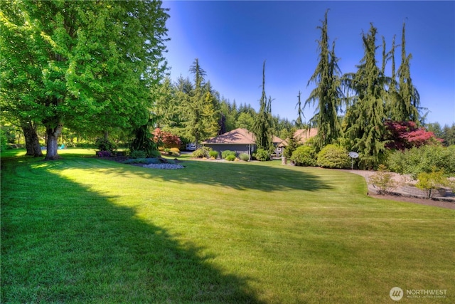 11504 128th Dr NE, Lake Stevens, WA 98258 - view of green lawn