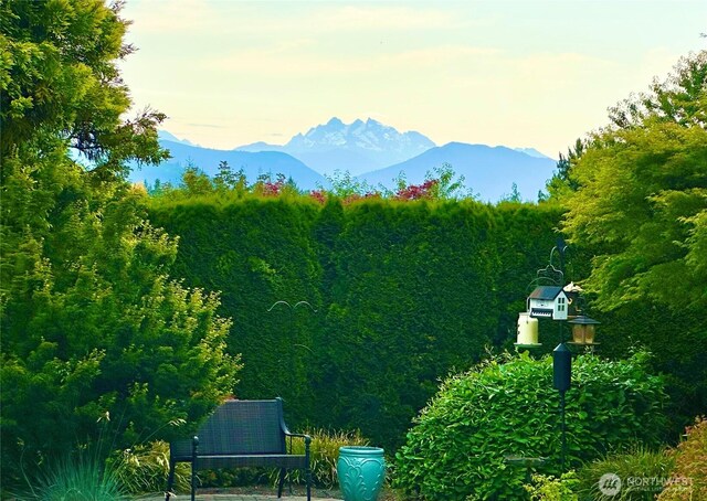 11504 128th Dr NE, Lake Stevens, WA 98258 - photo 39
