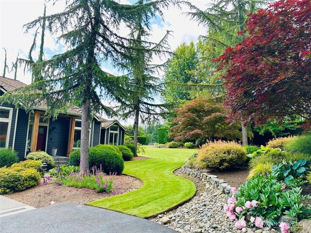 11504 128th Dr NE, Lake Stevens, WA 98258 - photo 4