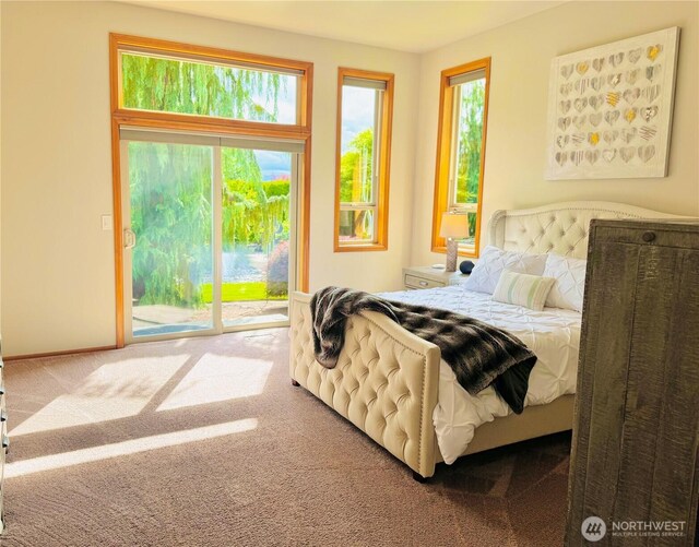 11504 128th Dr NE, Lake Stevens, WA 98258 - photo 26