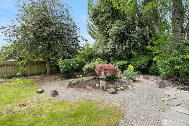 3929 SW Elmgrove St, Seattle, WA 98136 - view of yard