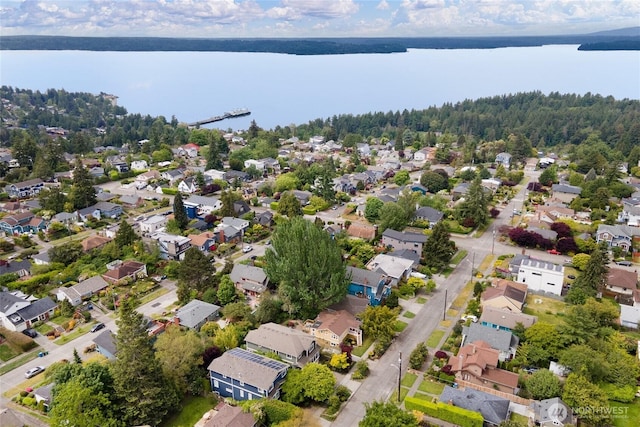 3929 SW Elmgrove St, Seattle, WA 98136 - aerial view of residential area with a nearby body of water and a heavily wooded area