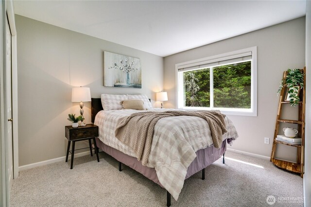 13302 53rd Ave NW, Gig Harbor, WA 98332 - bedroom featuring light carpet and baseboards