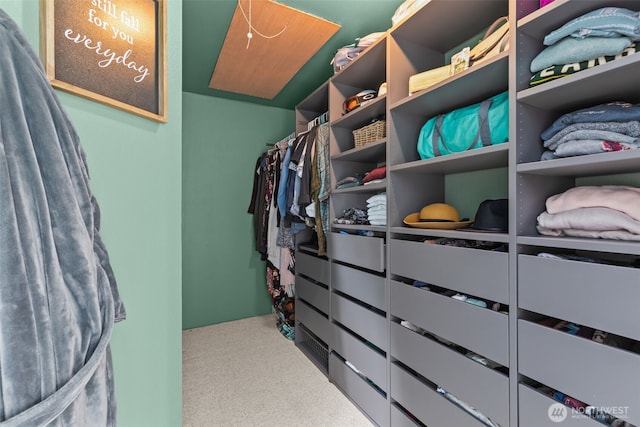5003 219th St SW, Mountlake Terrace, WA 98043 - spacious closet with carpet