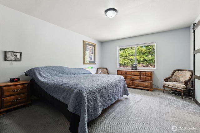 822 Filbert Rd, Cle Elum, WA 98922 - carpeted bedroom with a barn door