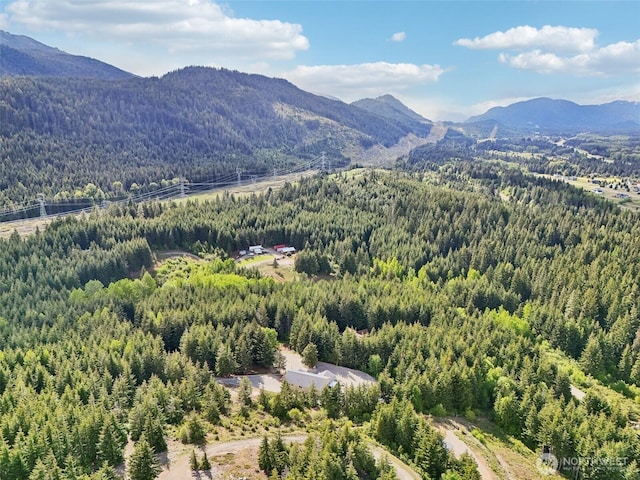 822 Filbert Rd, Cle Elum, WA 98922 - mountain view featuring a forest