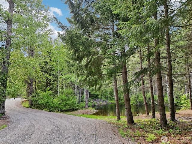 822 Filbert Rd, Cle Elum, WA 98922 - view of dirt / gravel road featuring a forest view