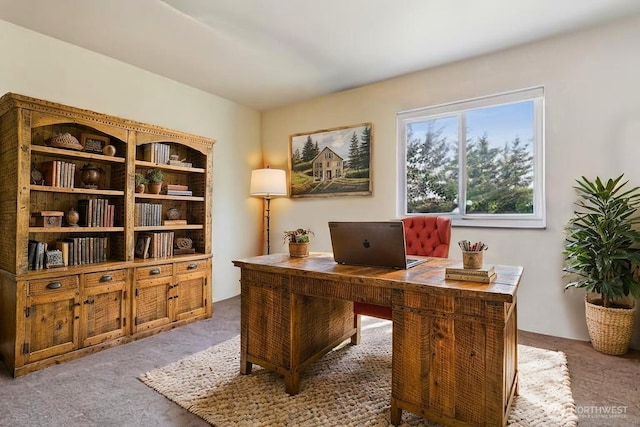 822 Filbert Rd, Cle Elum, WA 98922 - view of carpeted office