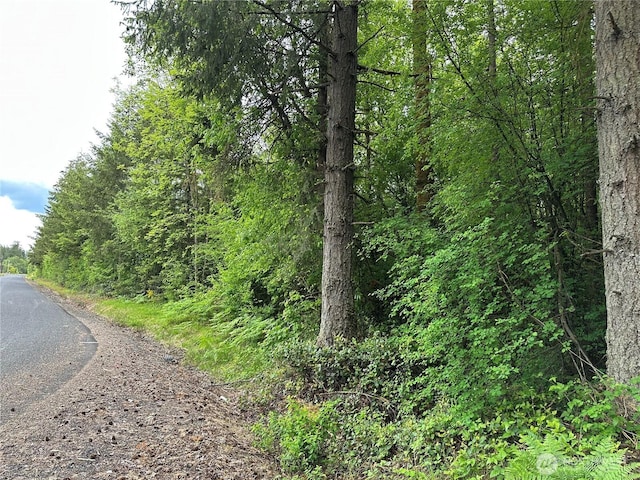 0 Bremgartner Rd, Winlock, WA 98596 - photo 5