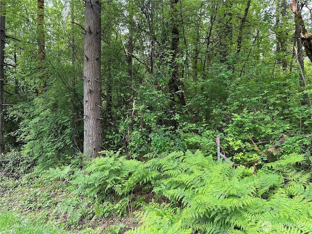 0 Bremgartner Rd, Winlock, WA 98596 - photo 6