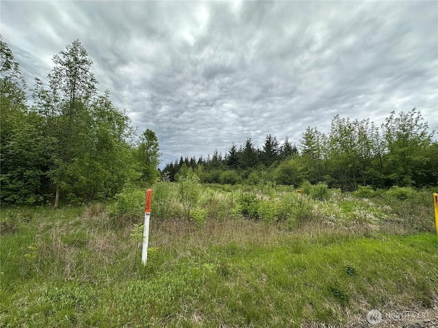 0 Bremgartner Rd, Winlock, WA 98596 - photo 8