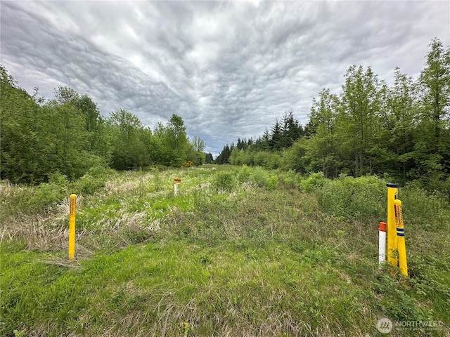 0 Bremgartner Rd, Winlock, WA 98596 - photo 9