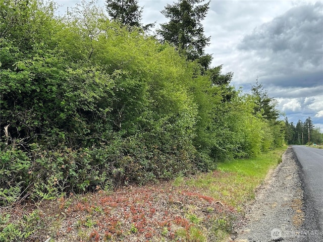 0 Bremgartner Rd, Winlock, WA 98596 - photo 2